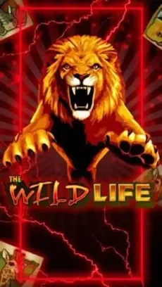Wild Life Casino screenshot