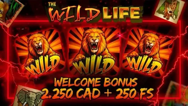 Wild Life Casino preview 4